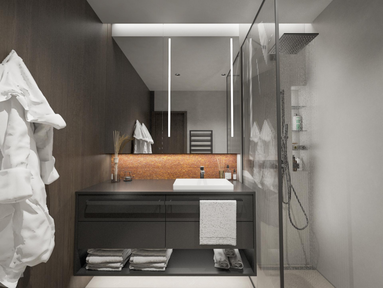 zicher_2_izbovy_byt_F_executive_suite_kupelna_alt_sprcha_bezpracky.png