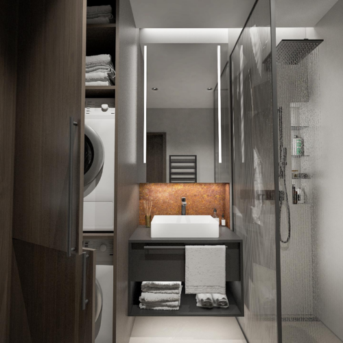 zicher_2_izbovy_byt_F_executive_suite_kupelna_alt_sprcha_pracka_susicka.png